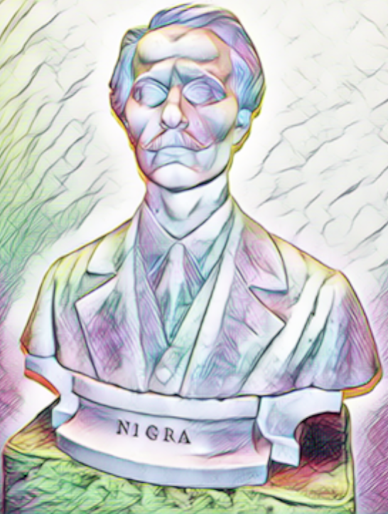BUSTO_NIGRA.png